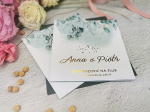 probka-zaproszenia-zsl17